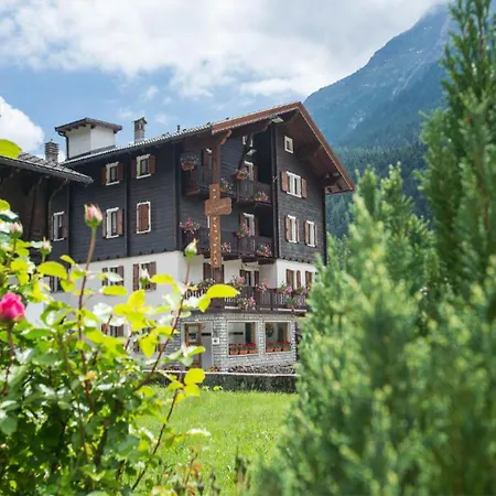 Signal Hotel 3*